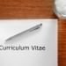 6 modelos de curriculum vitae: escolha o CV certo para cada vaga