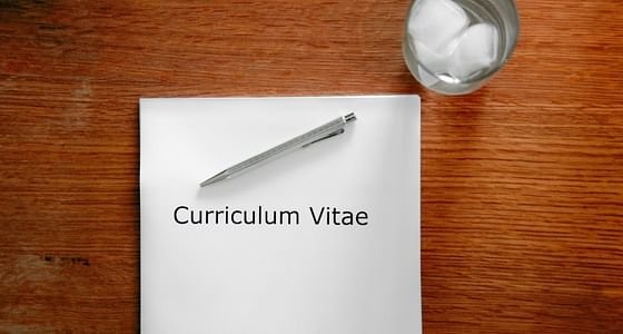 6 Modelos De Curriculum Vitae Escolha O Cv Certo Para Cada Vaga Economias