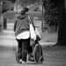 Invalidez relativa vs invalidez absoluta
